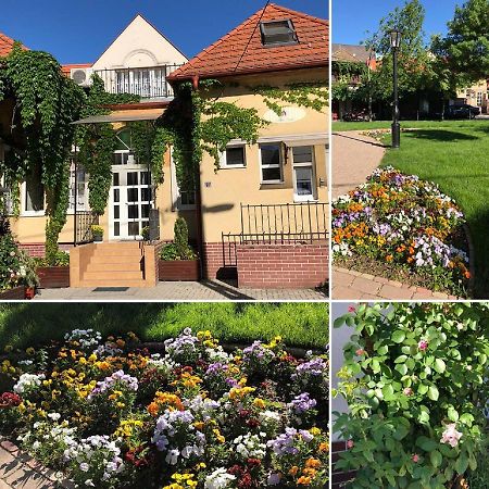 Tulipan Villa Panzio Солнок Екстериор снимка
