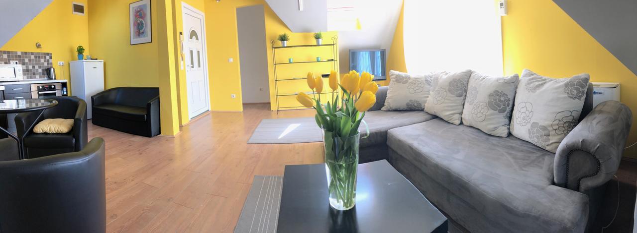 Tulipan Villa Panzio Солнок Екстериор снимка