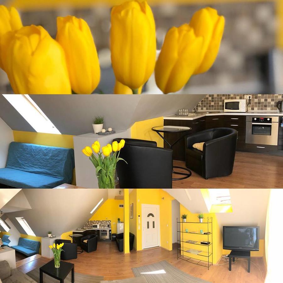 Tulipan Villa Panzio Солнок Екстериор снимка