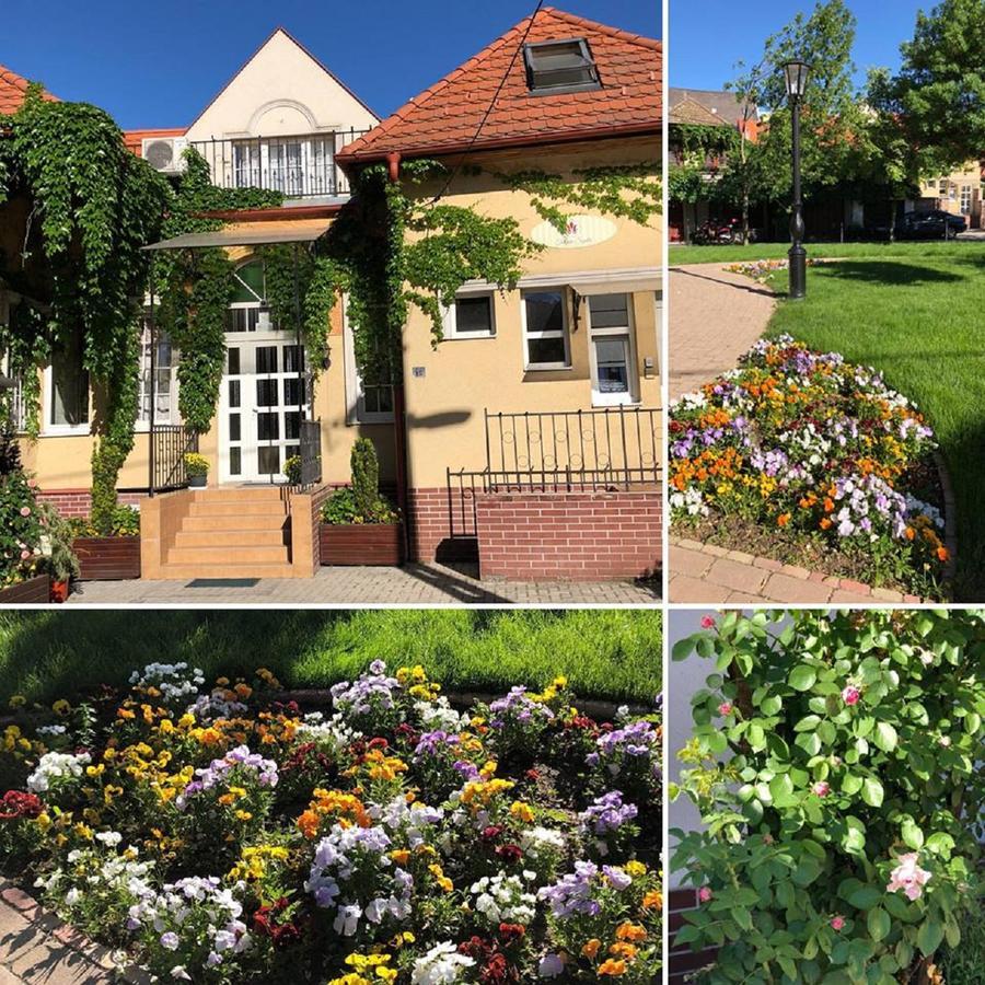 Tulipan Villa Panzio Солнок Екстериор снимка